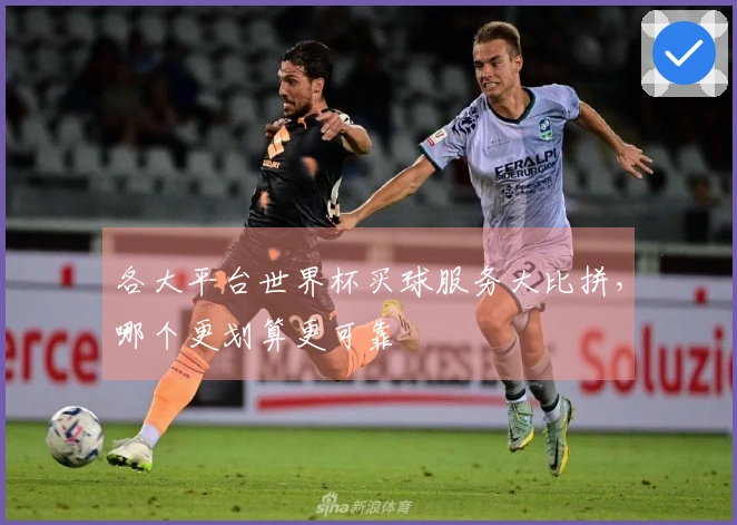 各大平台世界杯买球服务大比拼，哪个更划算更可靠