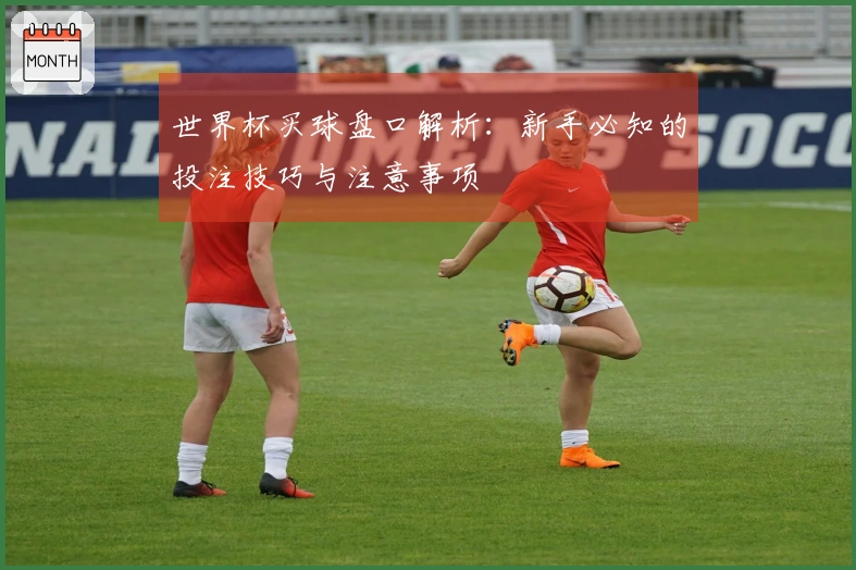 世界杯买球盘口解析：新手必知的投注技巧与注意事项