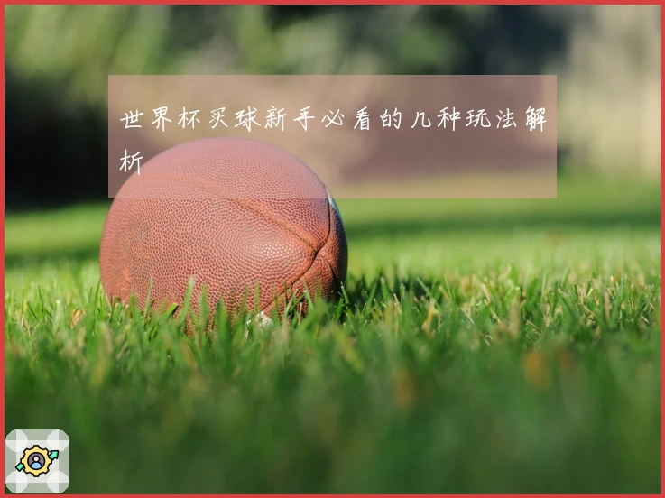 世界杯买球新手必看的几种玩法解析