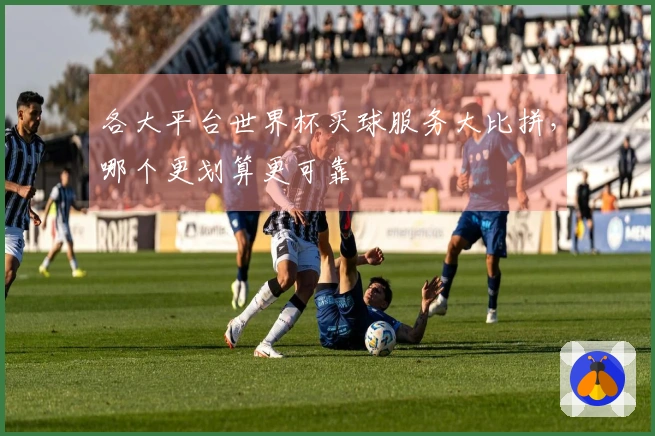 各大平台世界杯买球服务大比拼，哪个更划算更可靠