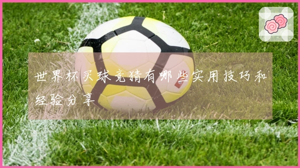世界杯买球竞猜有哪些实用技巧和经验分享