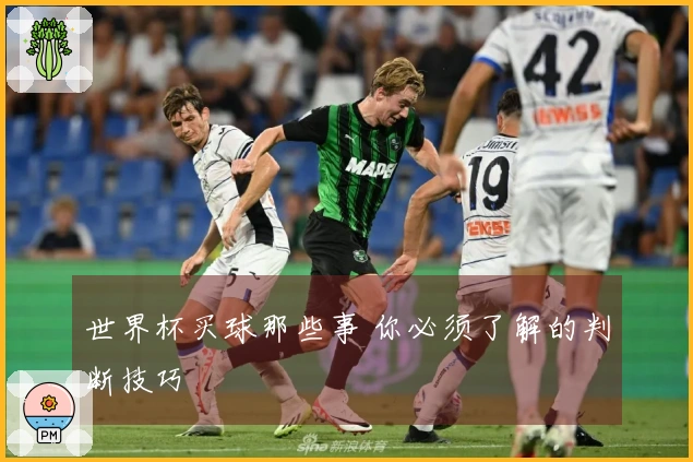 世界杯买球那些事 你必须了解的判断技巧