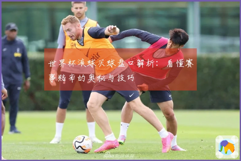 世界杯滚球买球盘口解析：看懂赛事赔率的奥秘与技巧